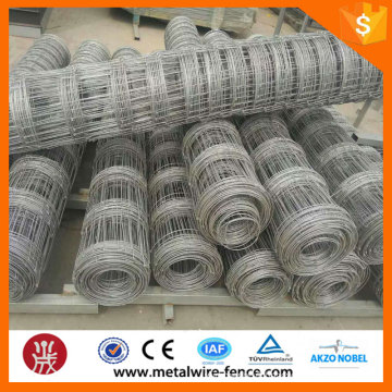 Hot dip galvanized grassland fence&cattle mesh fence